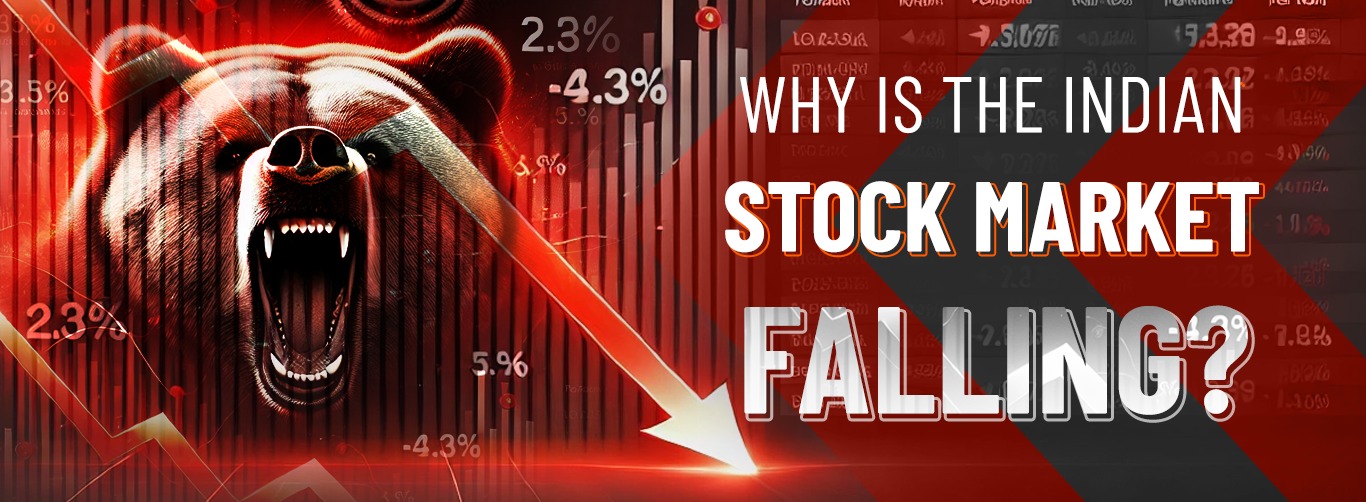 Why Is the Indian Stock Market Falling?